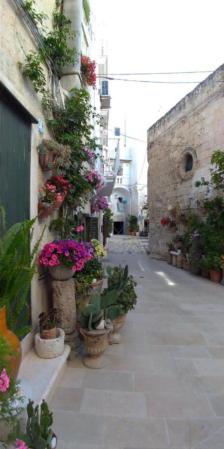 My Monopoli- Casa Dei Fiori "Orchidea" Centro Storico Hotel Kültér fotó